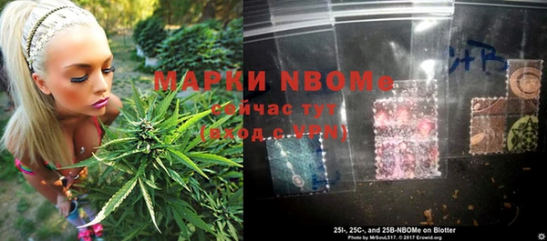 хмурый Кулебаки