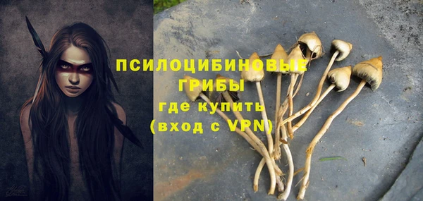 хмурый Кулебаки
